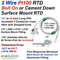 2 Wire Pt100 Bolt On Surface Mount RTD with 12