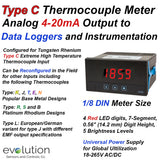 Type C Thermocouple Programmable Panel Meter with Analog m/A output
