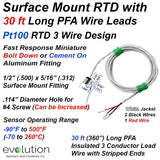 Bolt On or Cement Down Surface Mount RTD with 30 ft Long Wire Leads