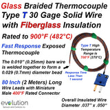 Glass Braided Thermocouple Type T with 2 Meter Leads and Connector